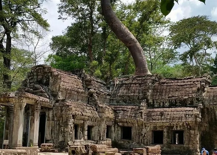 The Palmery Hotel Siem Reap